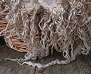Teeswater wool products fleece